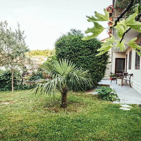 Pina Apartment *